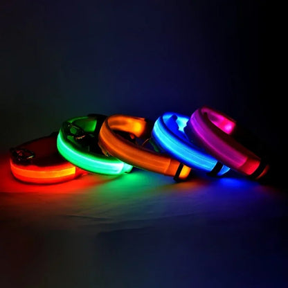 GlowGuard LED Dog Collar