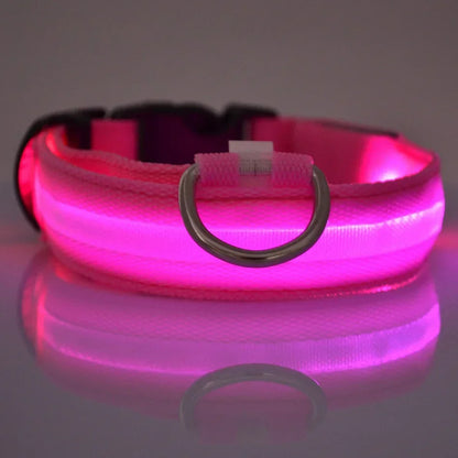 GlowGuard LED Dog Collar