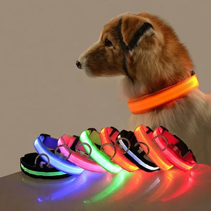 GlowGuard LED Dog Collar