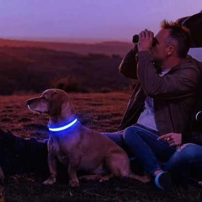 GlowGuard LED Dog Collar