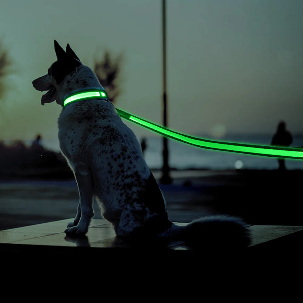 GlowGuard LED Dog Collar